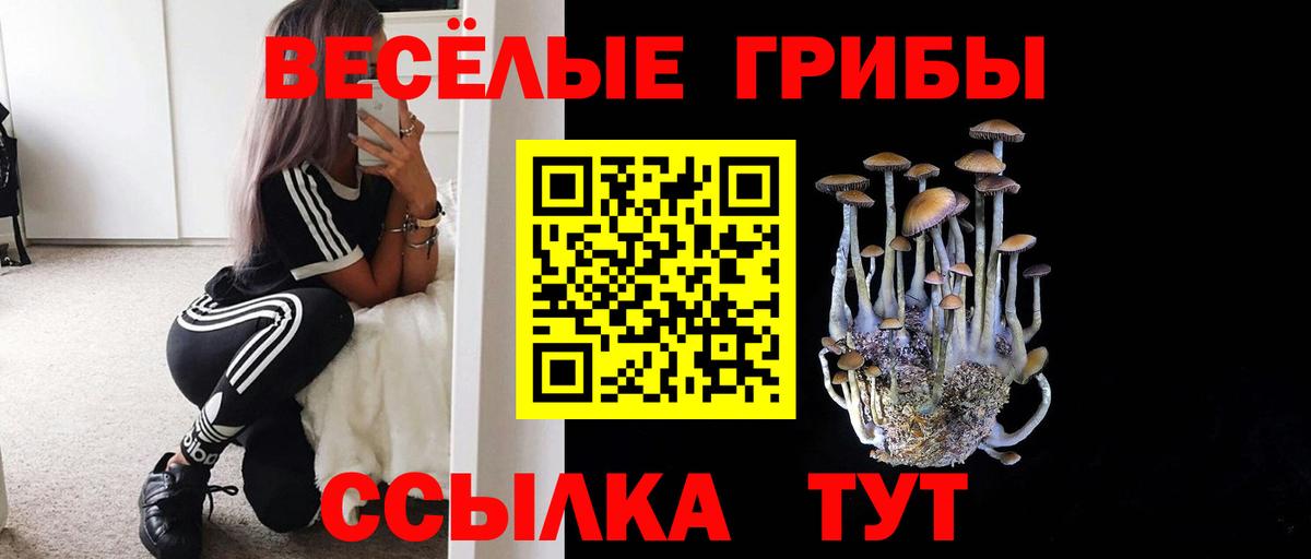 Псилоцибиновые грибы мухоморы Мирный
