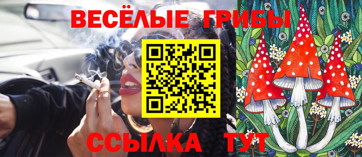 Галлюциногенные грибы мицелий  Вход с VPN  Мирный 